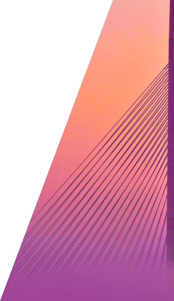 Paneli